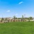 a grassy field with a fence and trees in the background